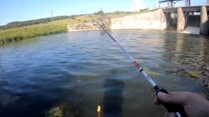 Рыбалка и зарыбление пруда