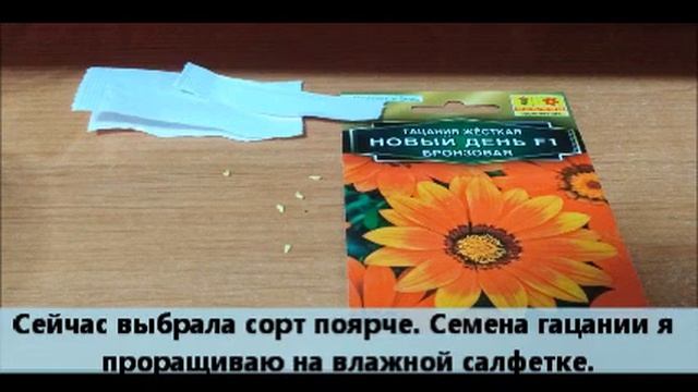 Гацания (газания) из семян.