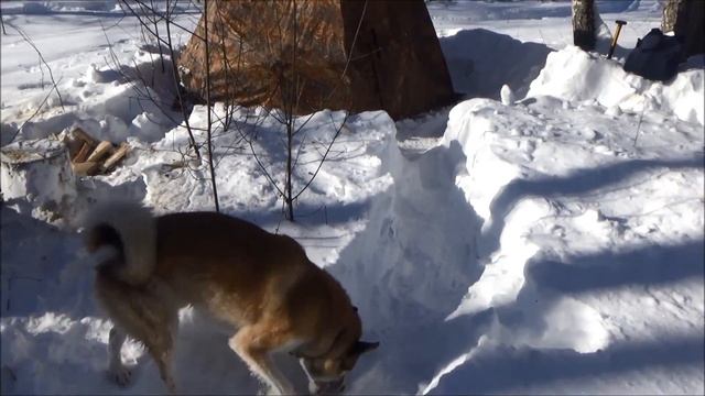 УП-2 мини в весеннем походе/ UP-2 mini in the spring camping trip смотреть онлайн