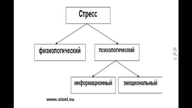 Как стресс мостит дорогу к болезням смотреть онлайн