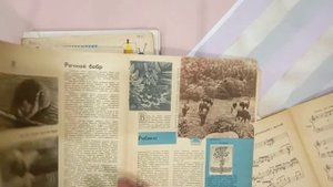 СКРАПБУКИНГ / декор / Обзор / Хомяк / Альбом ручной работы / Кардмейкинг