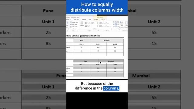 How to equally distribute columns width?