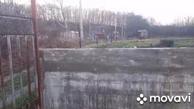 Сам себе дачник. Фильма 24. Пришла зима.  #дача #жизньнадаче