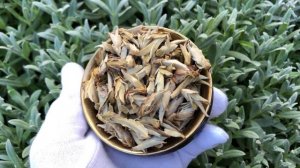 Китайский чай Белый Пуэр Люй Я Бао (пуэрные почки) 100 г