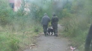 Опасная растяжка в страйкболе