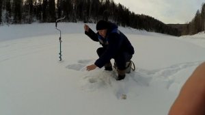 Красноярское море. Ловля окуня в заливах. Первый окунь брата.