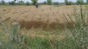 Мотоблок косилка жатка мини трактор