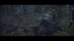Вглубь тумана. «Хуже только»