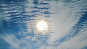 ПОЧЕМУ ТВОИ СЛЁЗЫ ТЕКУТ