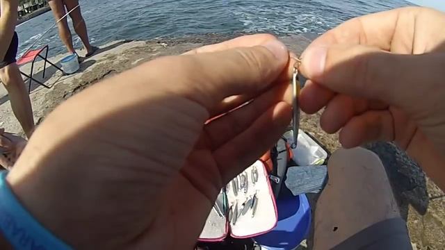 Сарган,рыбалка на пилькера и блесна.metal jig,a lot of fish.