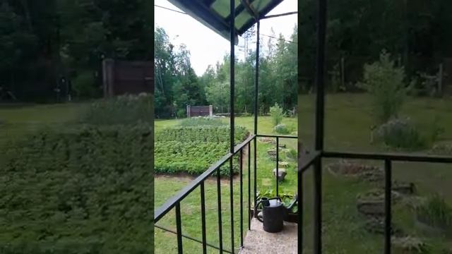 Дачная баня