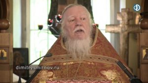 Протоиерей Димитрий Смирнов. Проповедь о сострадании и благодарности