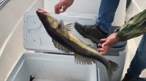 Рыбинка - Эко отель и рыбалка на Рыбинском водохранилище.