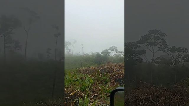 previsão pra chuva