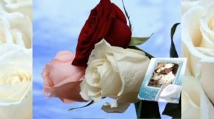 Аккордеон   вальс  Белый танец  Подарок Владимиру Погорелому