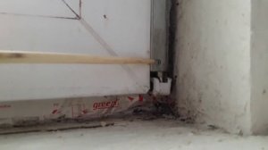 Дует из нижней петли...