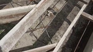 Ступени своими руками (бетон)