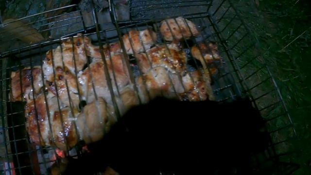 Рыбалка с ночевой летом! Ловля на удочку и на фидер ! смотреть онлайн