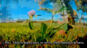 Сура 37 Саффат. Анас аль-Имади