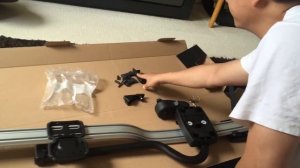 Thule Proride 598