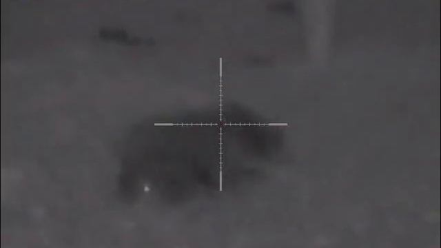 охота на кабана (сеголетки) смотреть онлайн