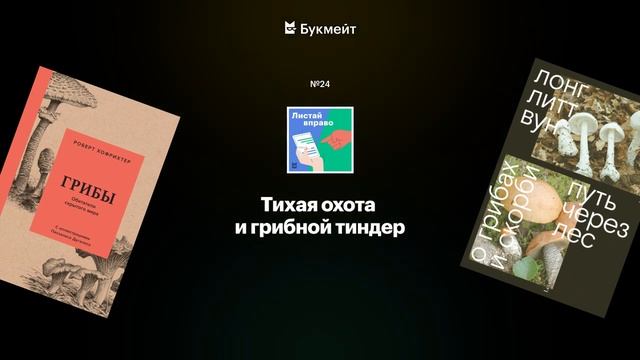 Тихая охота и грибной тиндер. «Путь через лес» и «Грибы. Обитатели скрытого мира» смотреть онлайн
