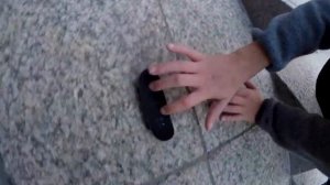 фингерборд street эдит🔥#3