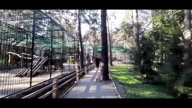 Зоопарк. Новосибирск. (завершение).