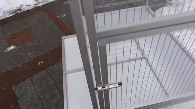 Клетка для попугая Розелла. Размер 1,8 х 1 х 0,7 м. смотреть онлайн