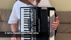 Дунайские Волны - Разбор как играть с нуля на Аккордеоне - Бесплатный урок Аккордеона