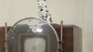 Антиквариат в интерьере. Современные тенденции.