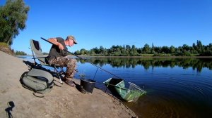 Разгибает крючки и рвёт поводки. Рыбалка на реке Ахтуба 2018. Ловля на фидер.