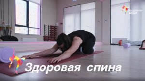 Здоровая спина -  Академия танца