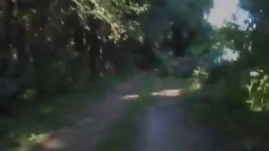 Озон гуляет с другом по лесу и рассуждает про Артура Блэка