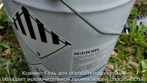 Уничтожение жуков древоточцев с помощью препарата Ксиликс гель