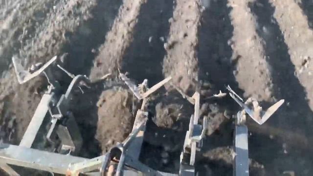 Сажаем картошку на Т-25 2021