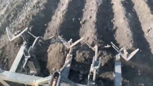 Сажаем картошку на Т-25 2021