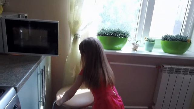 Мы дома.Шпиц и Чихуахуа жизнь вместе.Игры.Кормление.