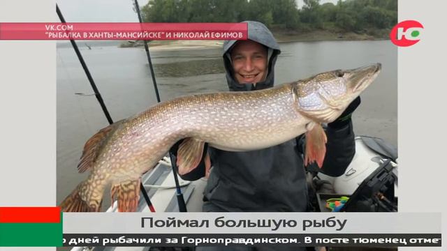 В Югре рыбак выловил 14-килограммовую щуку смотреть онлайн