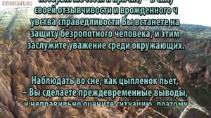 К чему снится Цыпленок сонник, толкование сна
