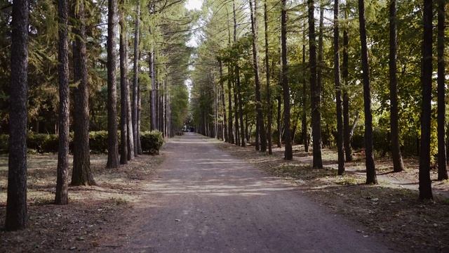 Олеся и Максим 10.09.21 смотреть онлайн