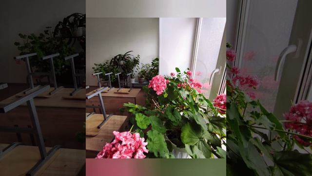 Вечер встречи выпускников часть 1. Михайловская средняя школа. май 2022 г. смотреть онлайн