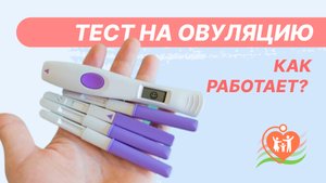 ? Тест на овуляцию - как работает?
