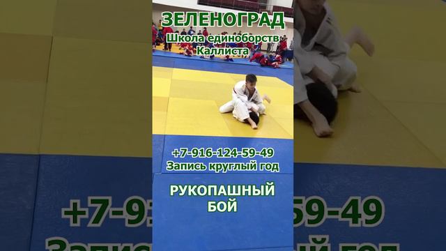 Зеленоград. Школа единоборств Каллиста. Запись круглый год