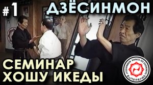 Техника Дзёсинмон Сёрин-рю Карате-до: семинар Со-Шихана Хошу ИКЕДЫ.