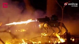 Китайские роботы-собаки, оснащенные различным вооружением, в том числе огнеметом! С таким на поле бо