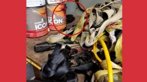 СУПЕР ТЕСТ на ВНИМАТЕЛЬНОСТЬ - НАЙДИ ЖИВОТНЫХ на фото! ? БУДЬ В КУРСЕ TV