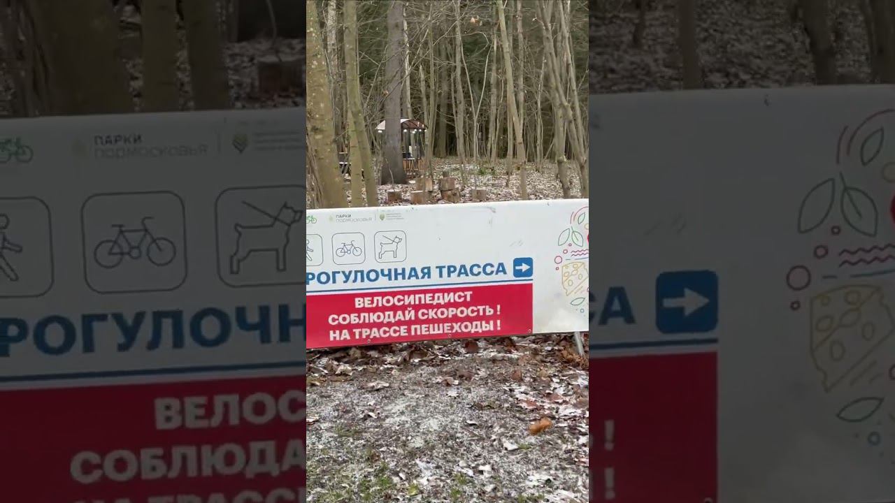 Парк Ларисы Лазутиной города Одинцово: Зачем нужна собака на Миролюб ТВ