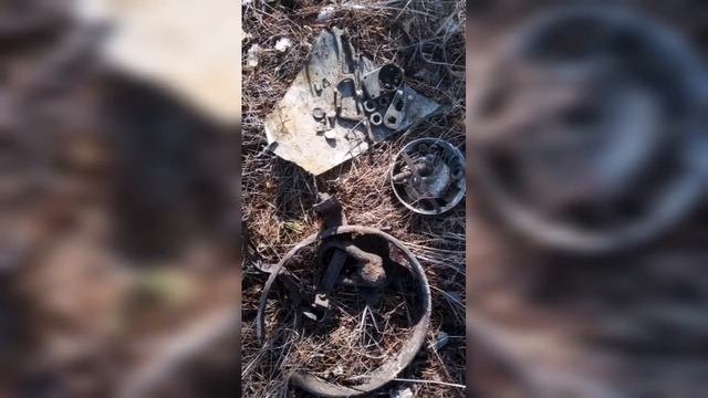 Какой металлоискатель выбрать.???