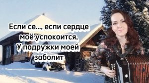"По тропинке, снежком запорошенной" Караоке под гармонь...